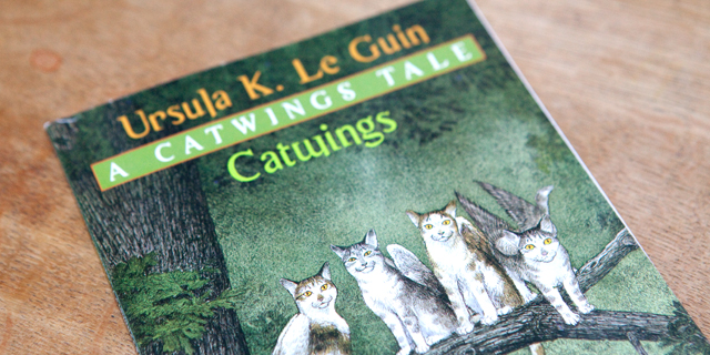 011811_catwings