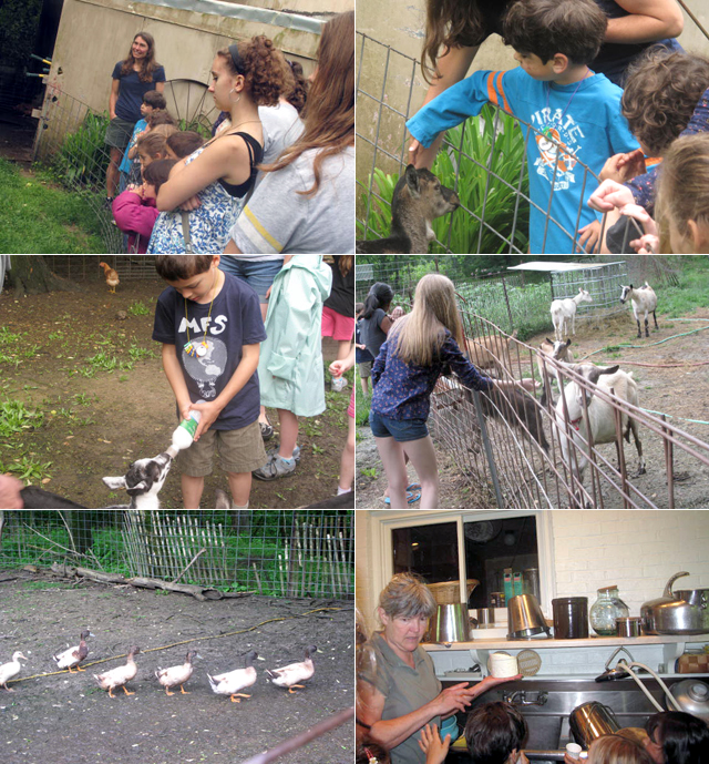 052611_farm