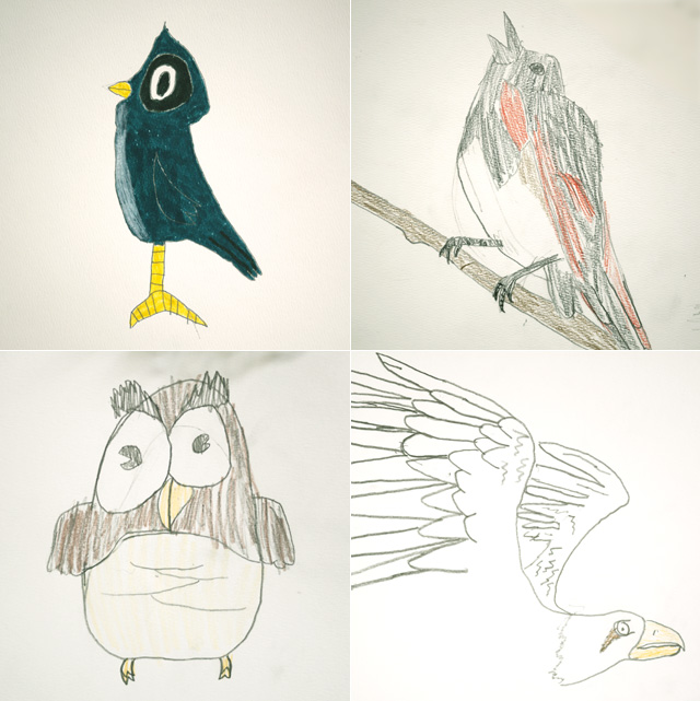 012512_audubon
